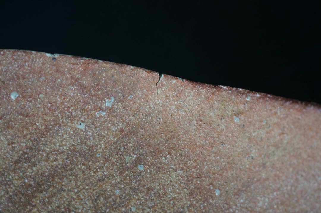 皆川隆 作 信楽 波面 皿 共箱 栞付 保証品 / 大皿 懐石料理道具