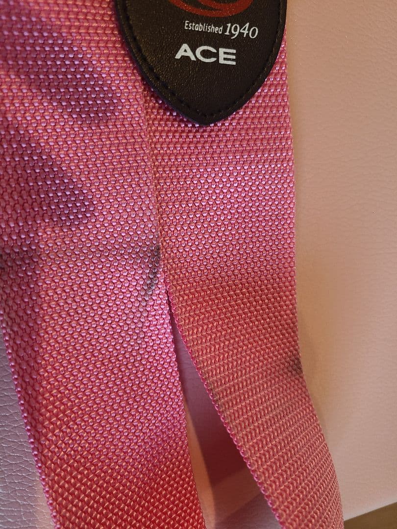 スーツケース　ACE HaNT　大容量87L