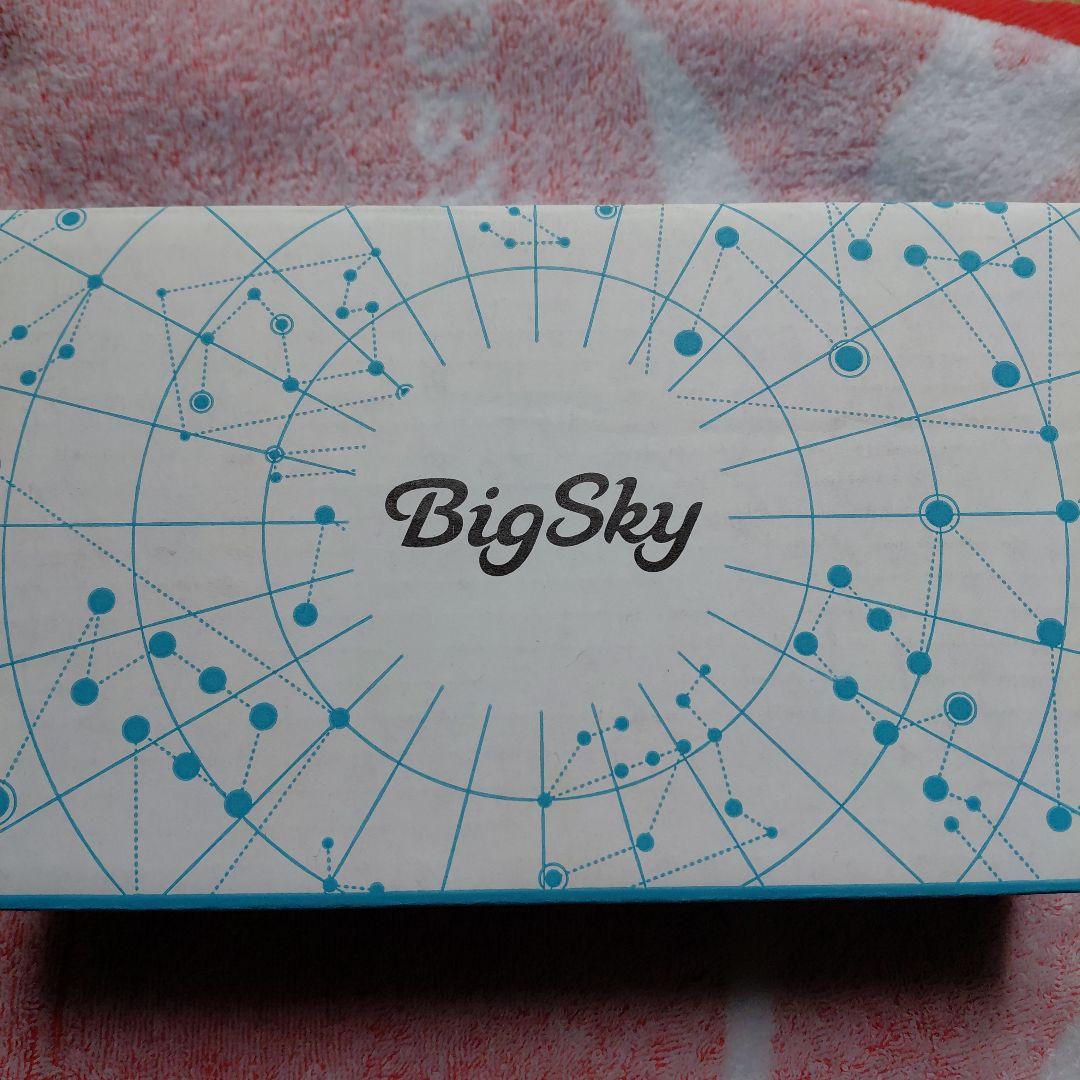ギター strymon BigSky