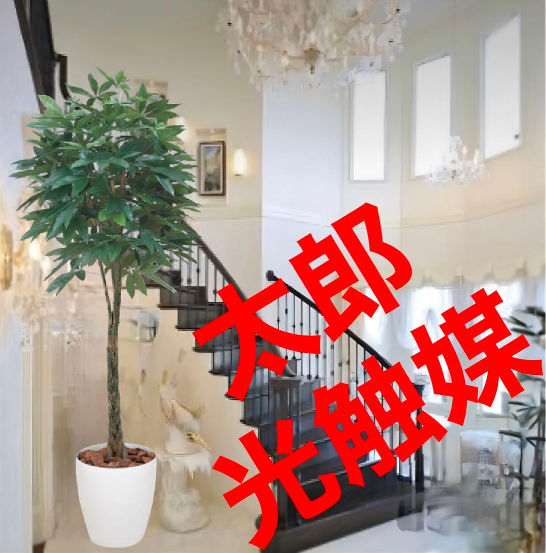 光触媒　人工観葉植物　ウォールグリーン　フェイクグリーン　パキラ 2.0m