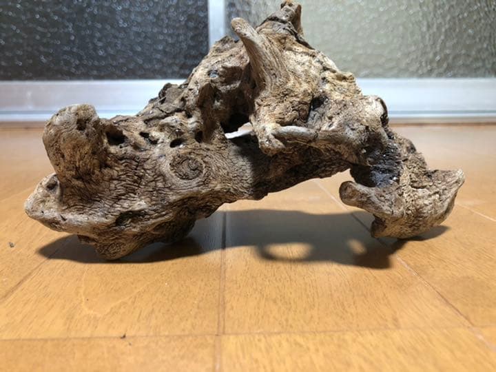 流木中サイズです！