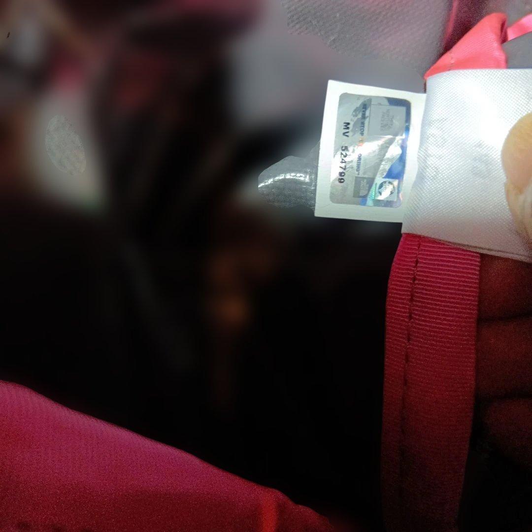 ザノースフェイス ベースキャンプダッフル2wayリュックボストンバッグ