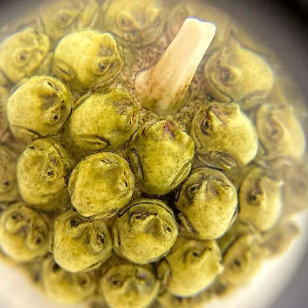 置物 Harmony Kingdom Frogberry Ivory