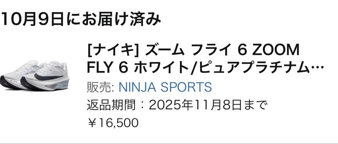 ナイキ ズーム フライ 6 ZOOM FLY 6 ホワイト/ピュアプラチナ