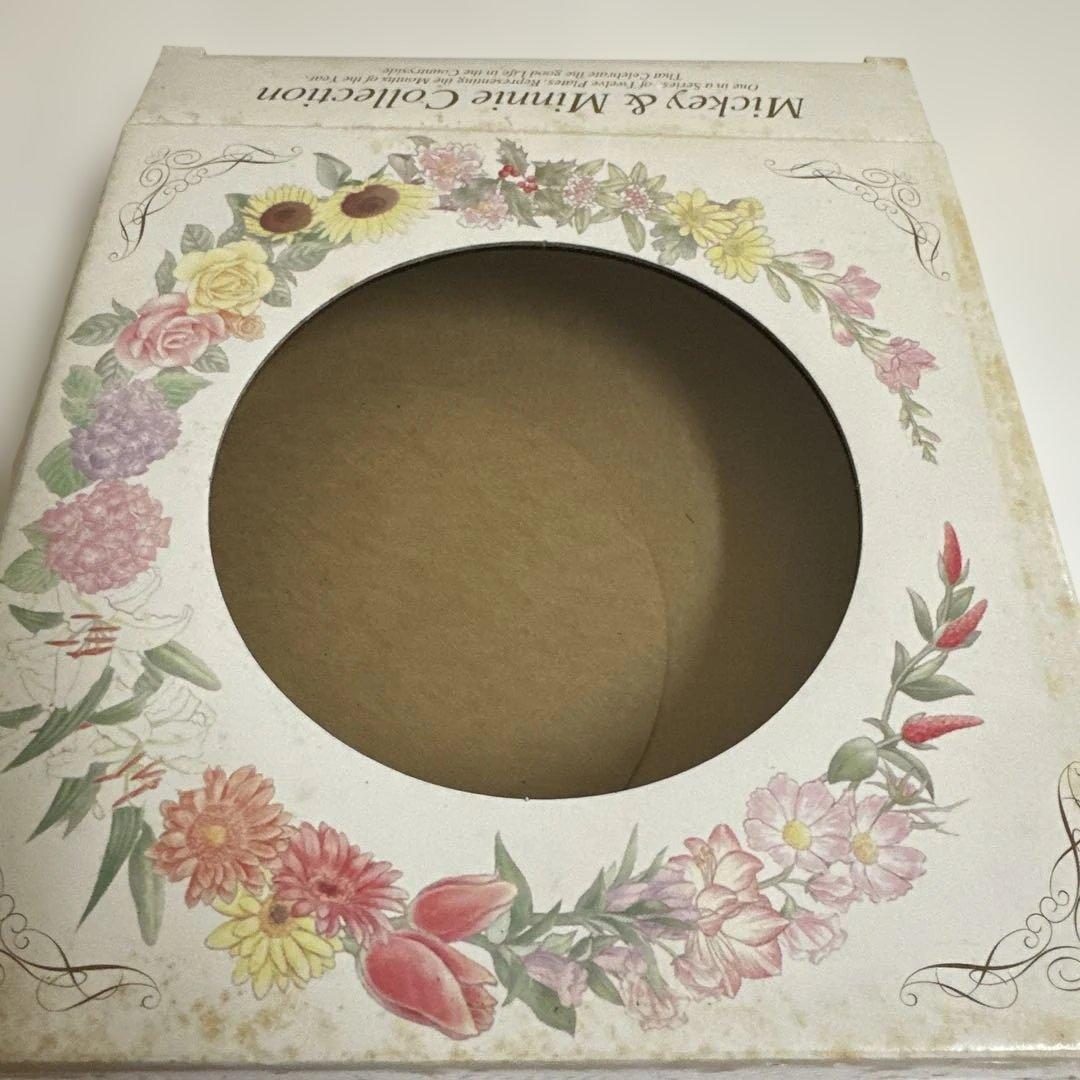 ディズニー　ミッキー&ミニーコレクション　プレート