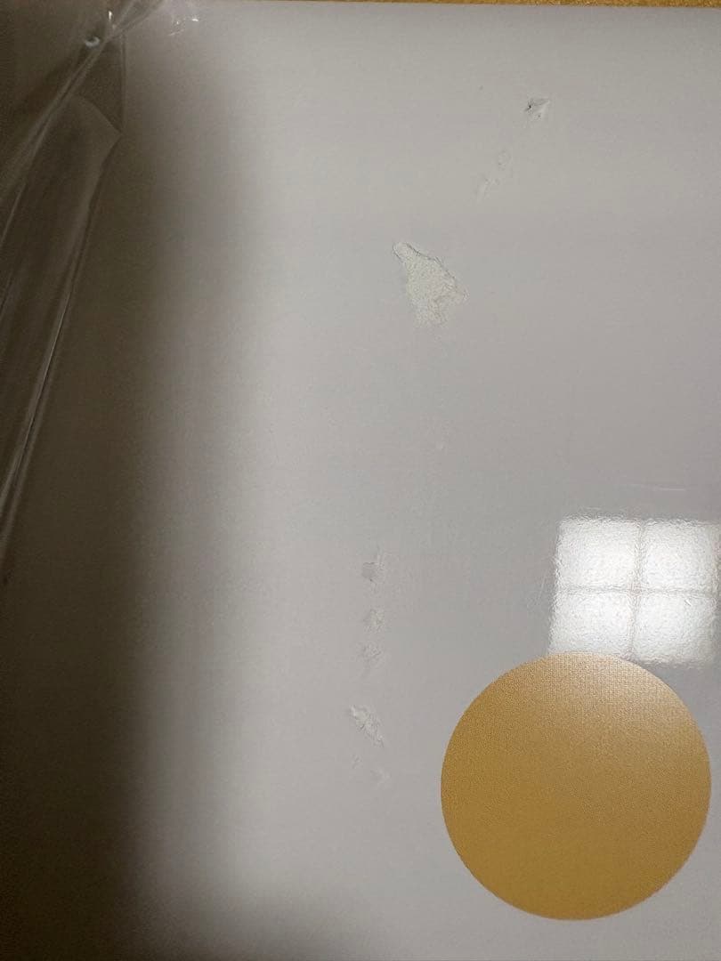 モコモコゼミ　年中4月号〜年長5月号