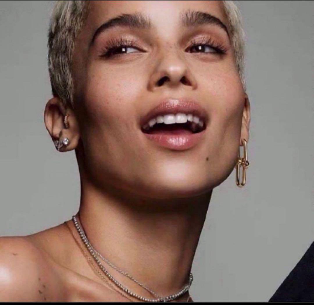 ✨ハイクオリティ✨芸能人　モデル　海外セレブ　シルバーピアス　ハードウェアBIG