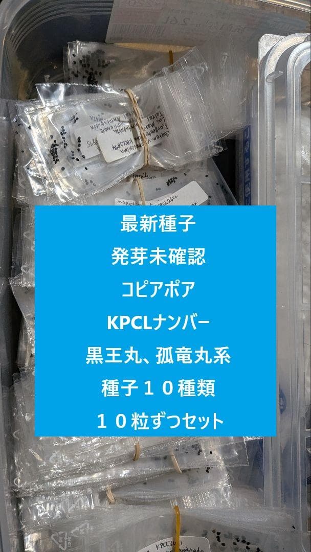 コピアポア　発芽未確認　KPCLナンバー種子　１０種１０粒ずつセット