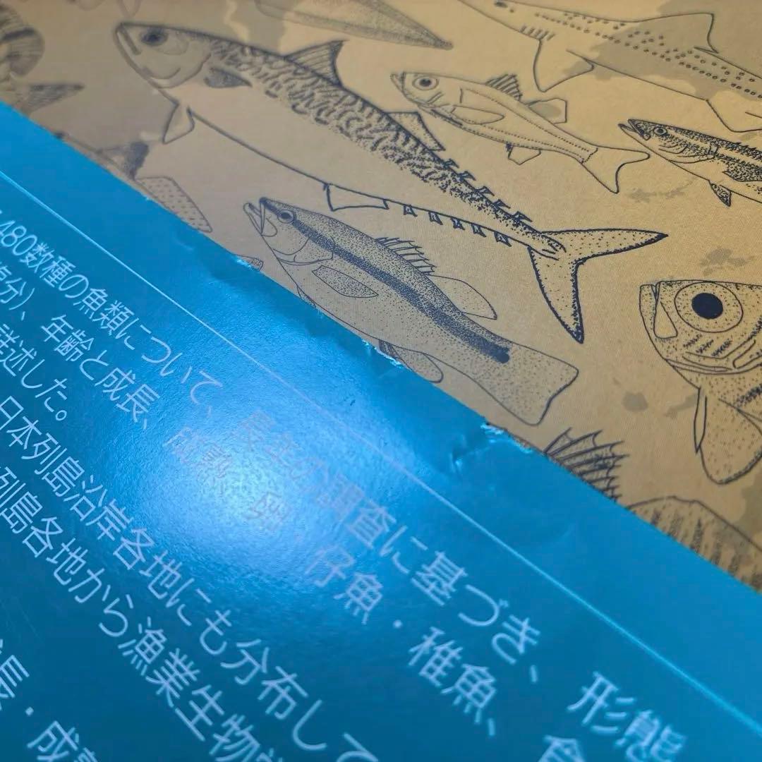 【希少本】東シナ海・黄海の魚類誌