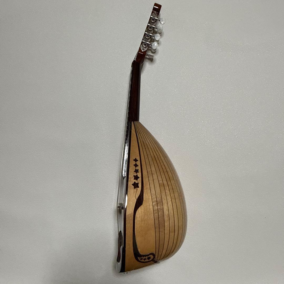 石川捷二郎監修 Venezia マンドリン M-50 ハードケース付