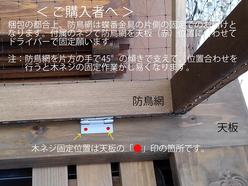 高さの有るビオトープ 60L　トロ舟＆木枠セット（3D防鳥網付き・棚付き）