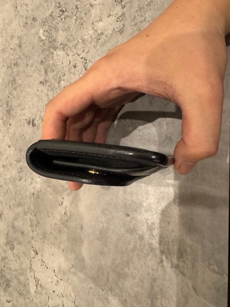 ワイルドスワンズ　タング　サドルプルアップ