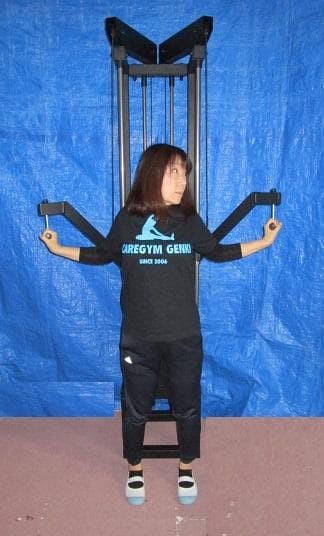 ～デビルウイング、翼を授ける～　デビルウイング・マシン(左右独立タイプ)　黒黒