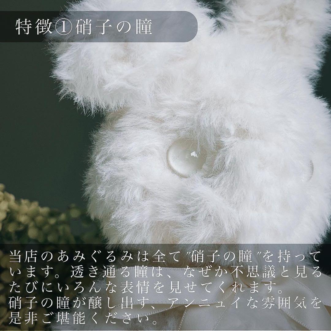 \"硝子の瞳\" あみぐるみ　オーダーメイド ぬいぐるみ　アートドール　ペット