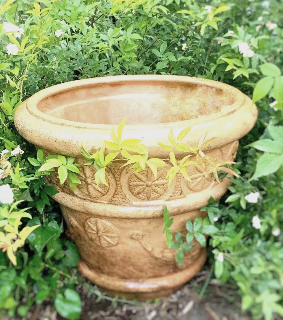 状態のよいアンティーク特大植木鉢　　 　シャビー感たっぷり❣️