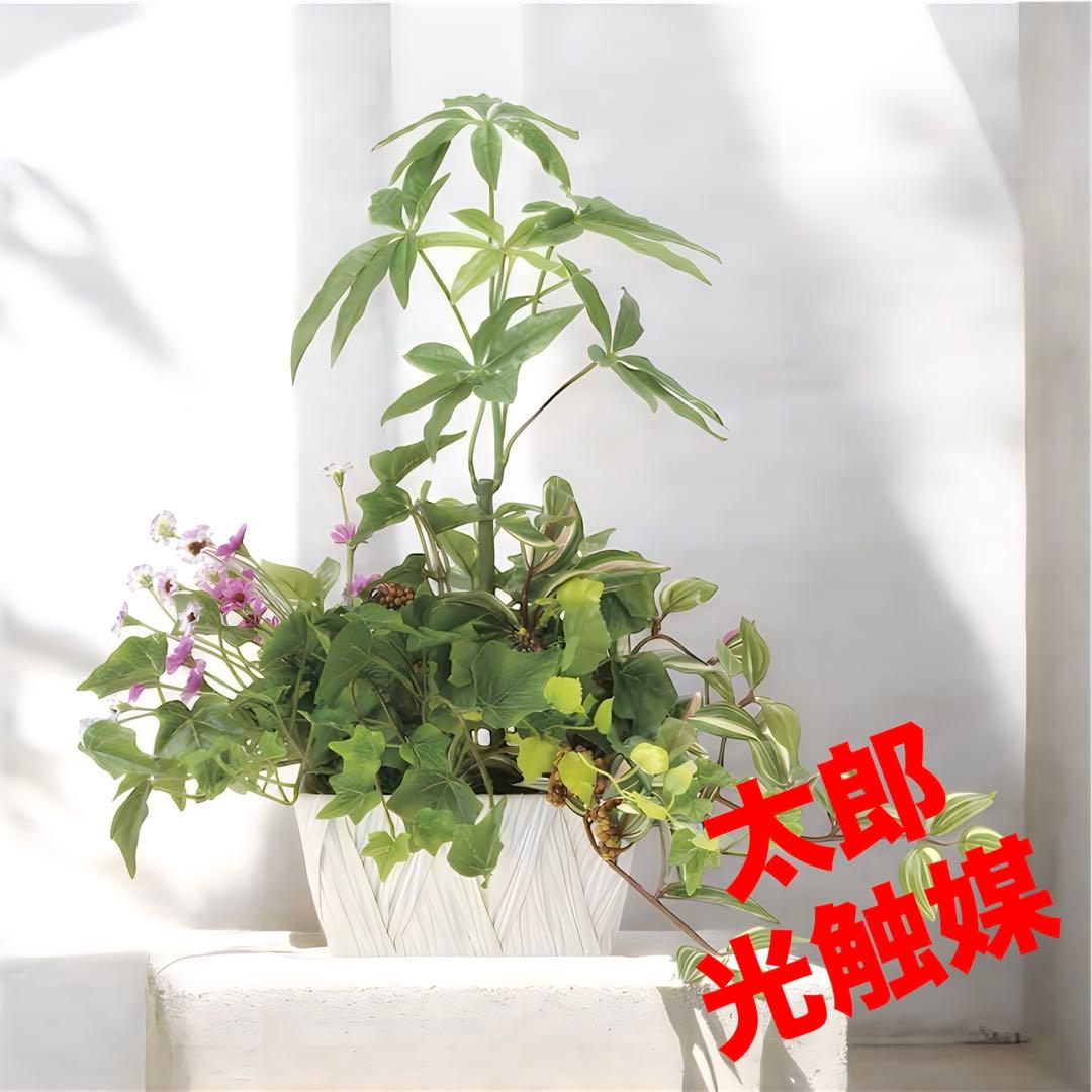 光触媒　人工観葉植物　ウォールグリーン　フェイクグリーン　寄せ植えパキラab