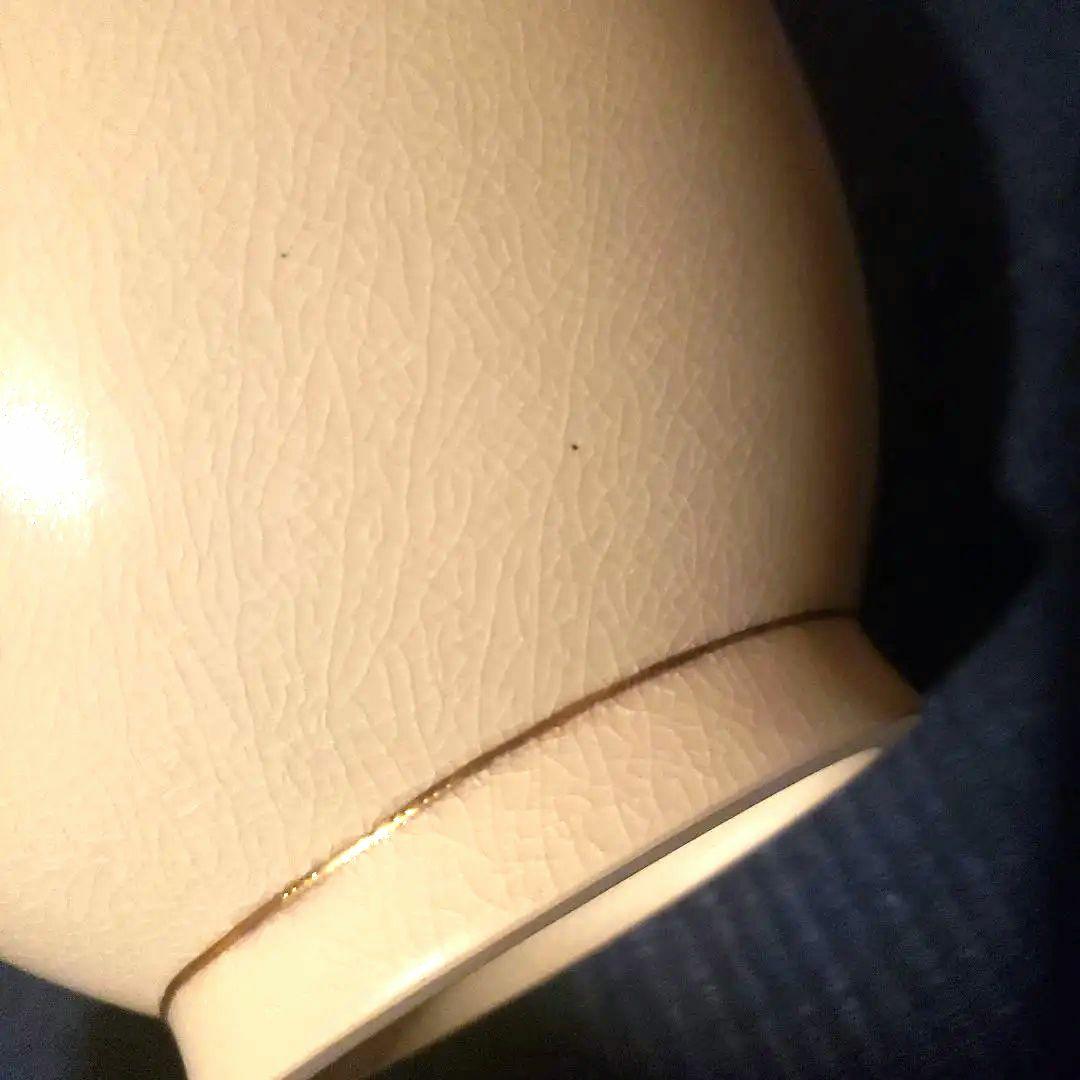 薩摩焼 十五代沈壽官作(ちんじゅかん)白薩摩九寸花瓶 本金秋草