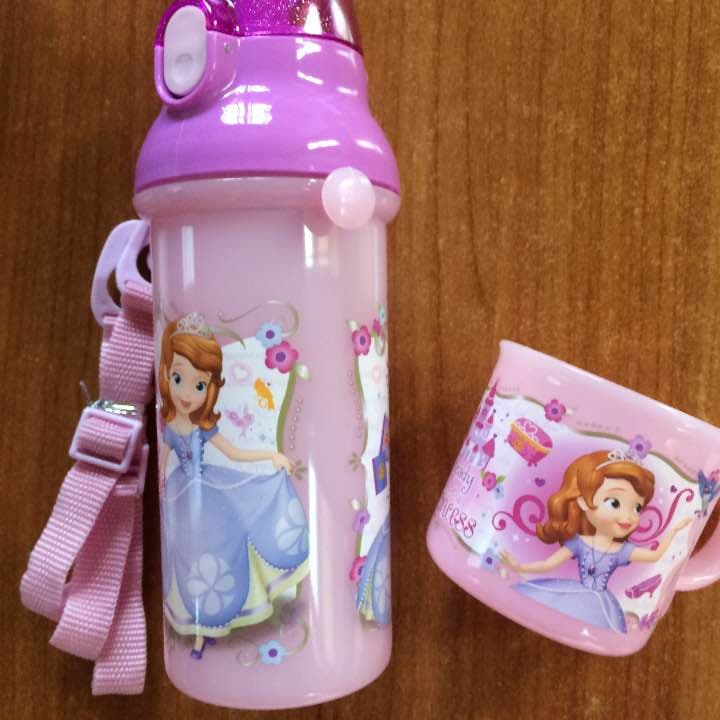 ディズニープリンセス 水筒セット 訳あり