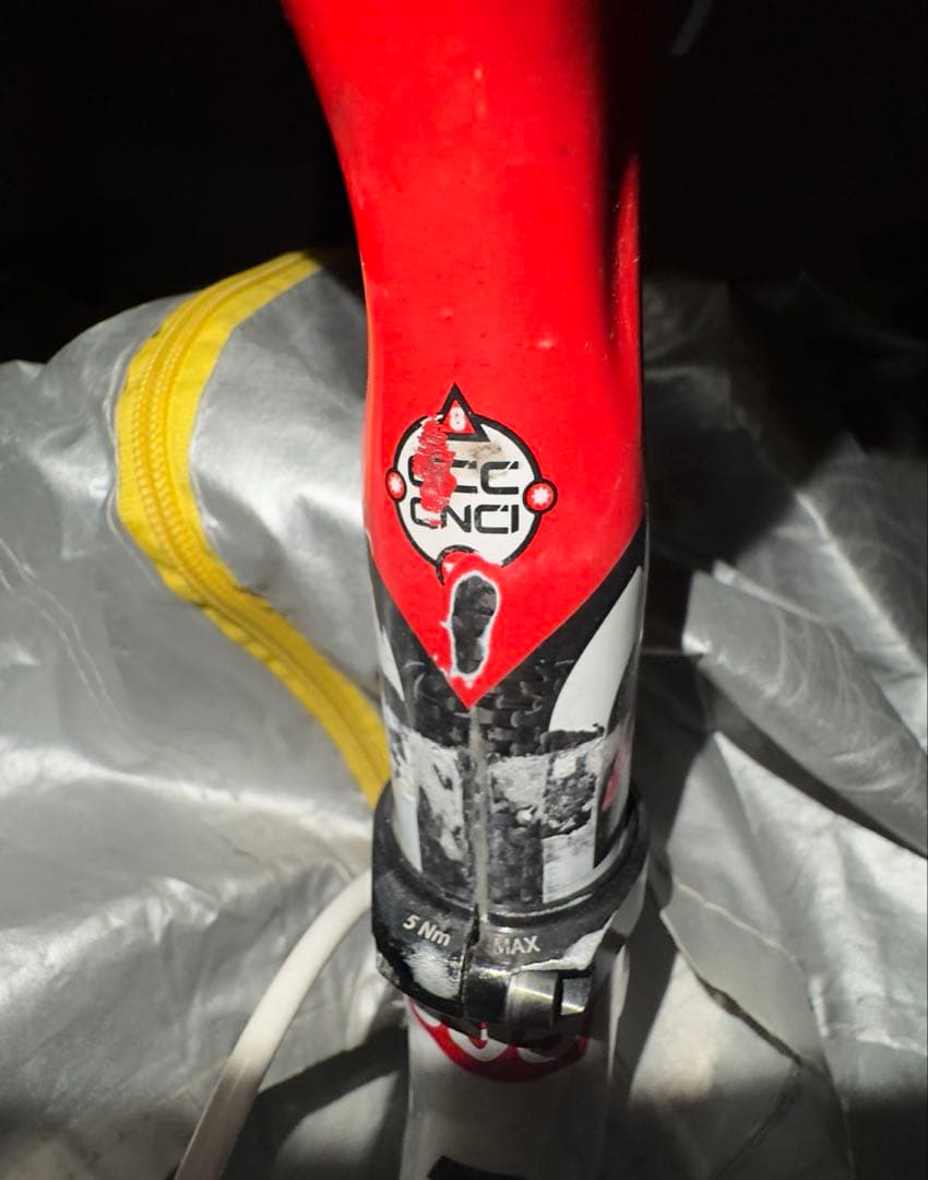 まぐ【PINARELLO FP2】