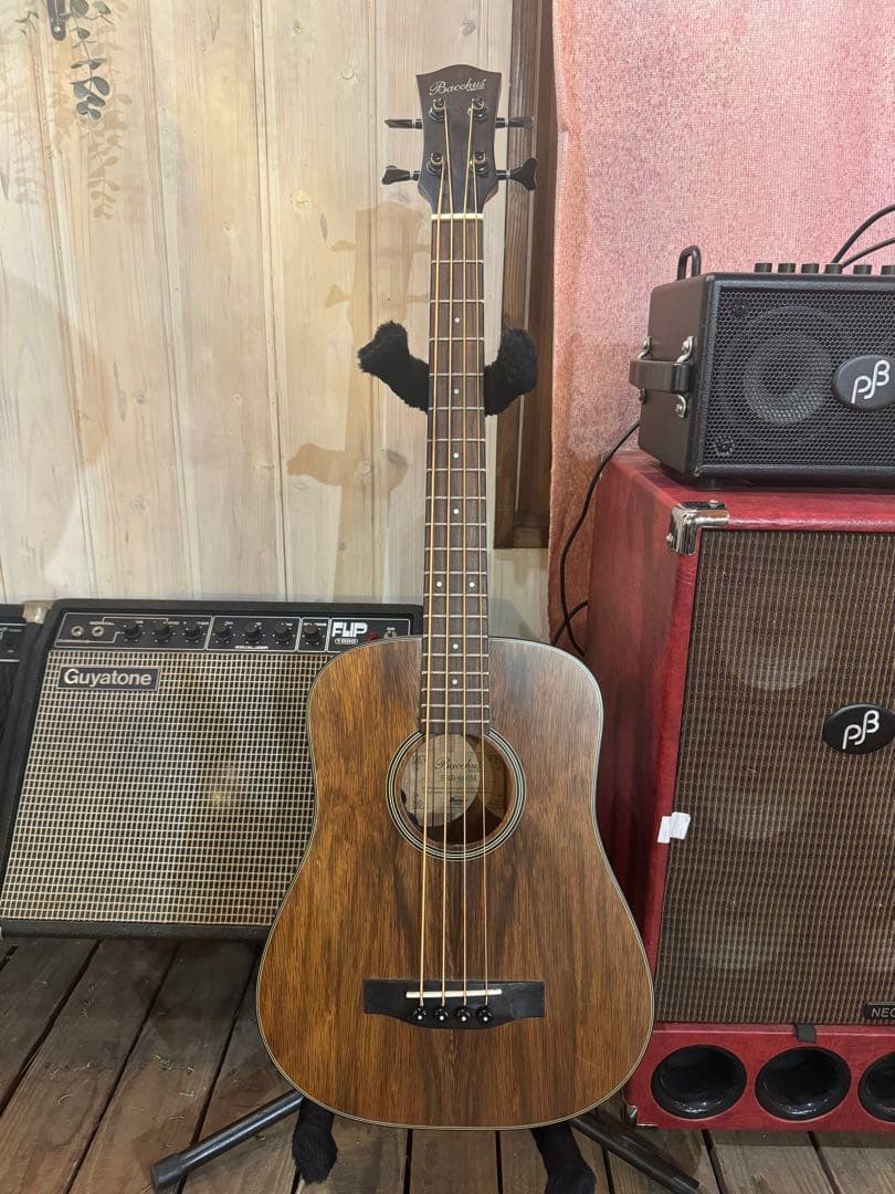 Bacchus BAB-600M アコースティックベース