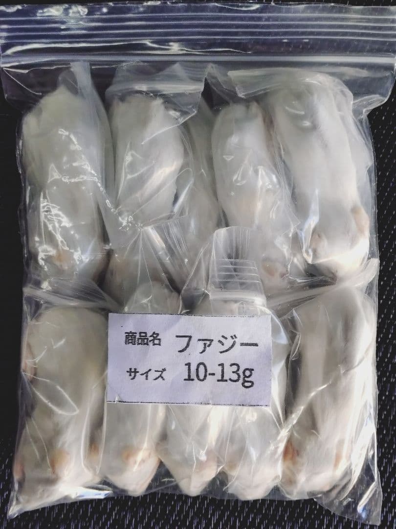 賈琦様冷凍ファジー10匹ファジーS 30匹アダルトM 10匹フタホシ200グラム