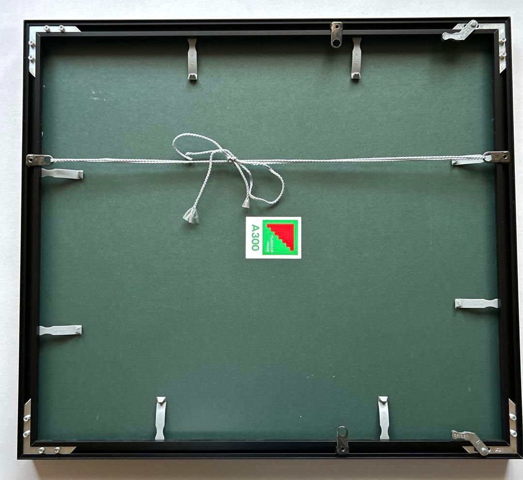 富士のアルミ額A300全紙　3枚セット