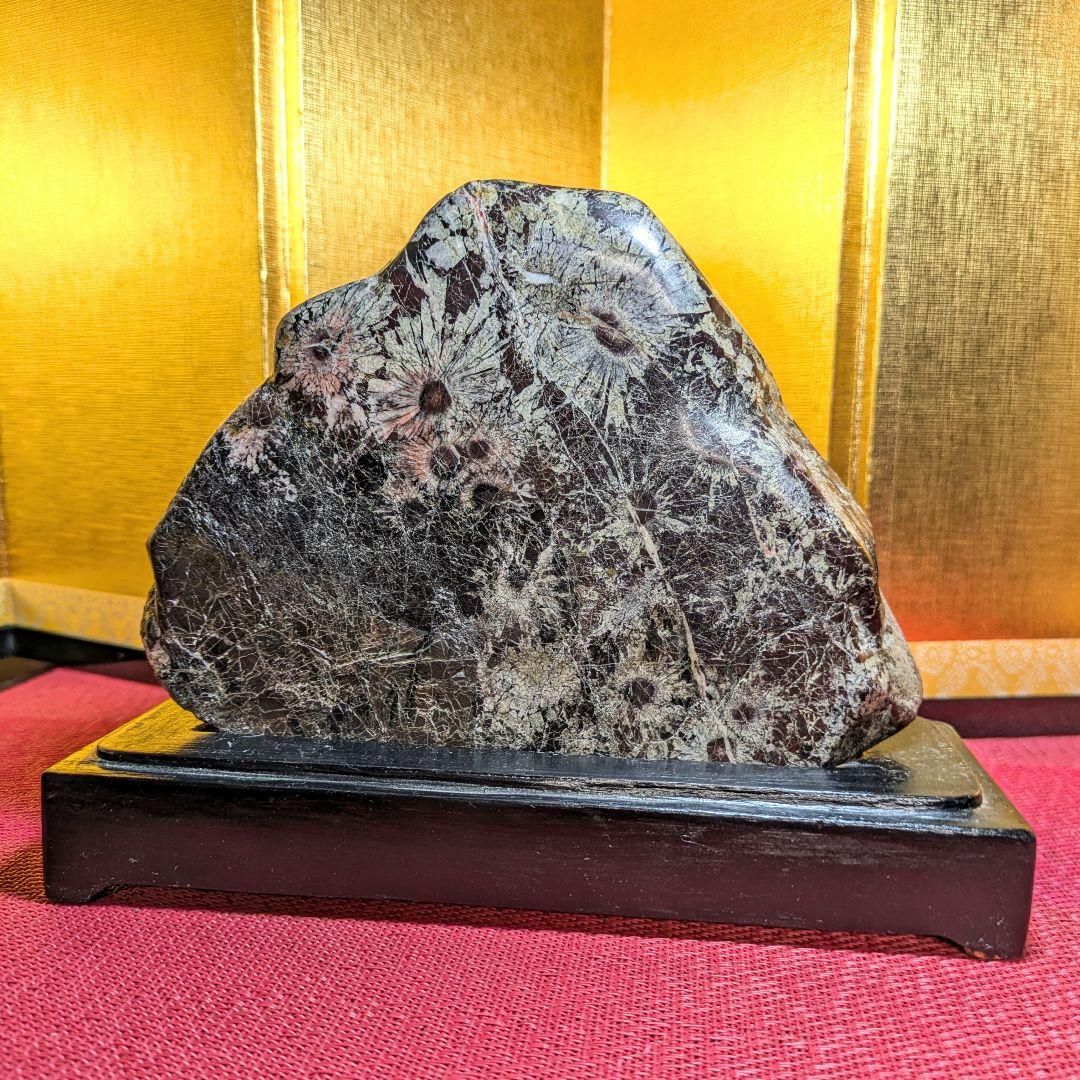 菊花石 岐阜県根尾谷産1.2㌔ 鑑賞石 観賞石 水石 盆石 天然石 置物