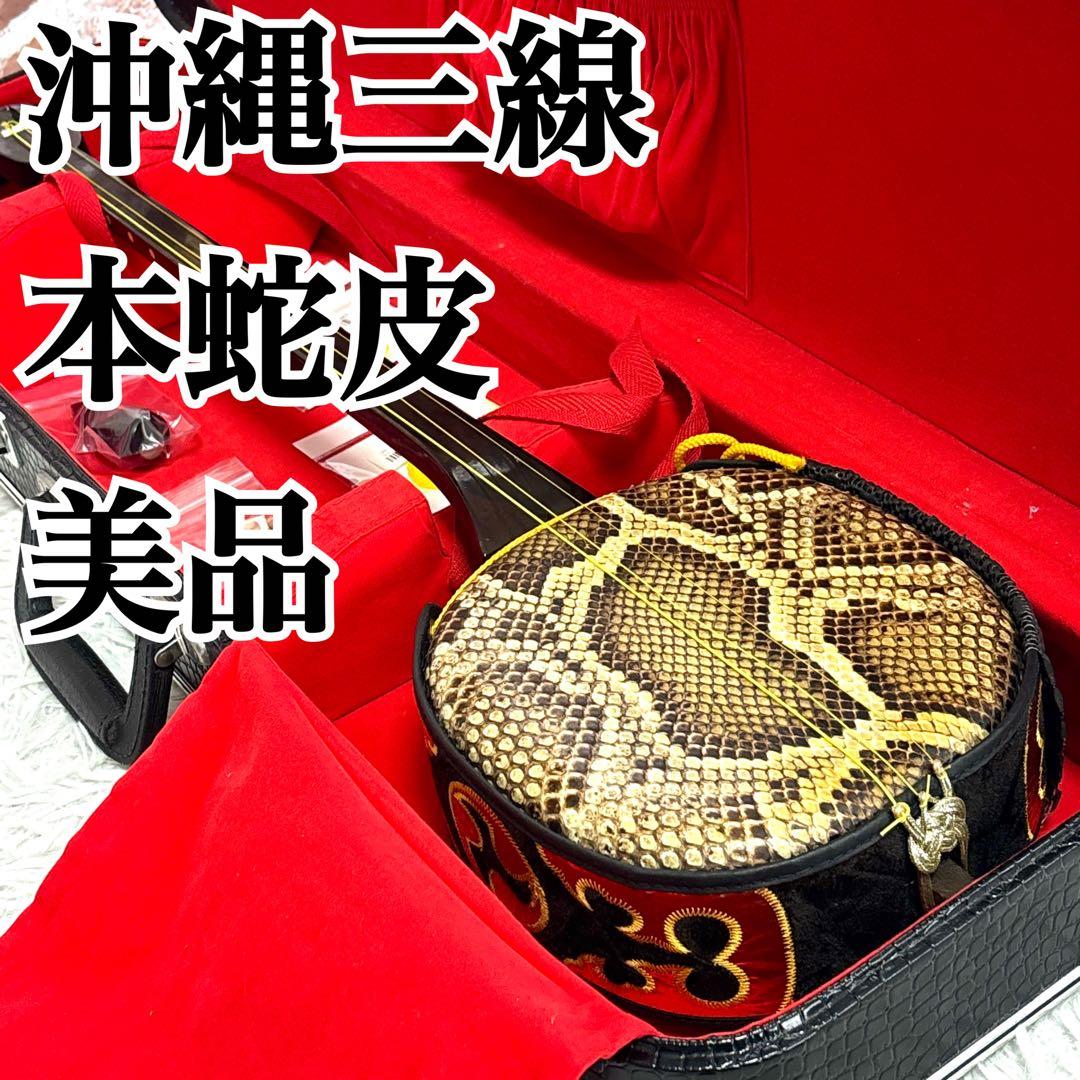 ✨極美品✨沖縄 三線 本蛇革 強化張り 黒塗り棹 ハードケース 爪 本蛇皮
