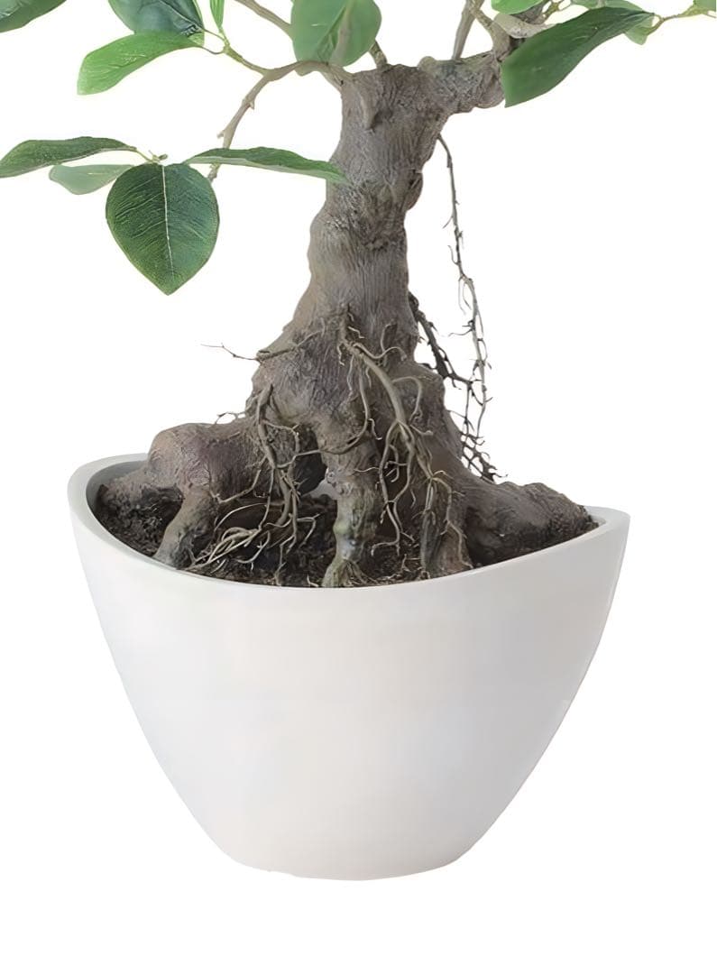 光触媒　人工観葉植物　ウォールグリーン　フェイクグリーン　ガジュマルボウル