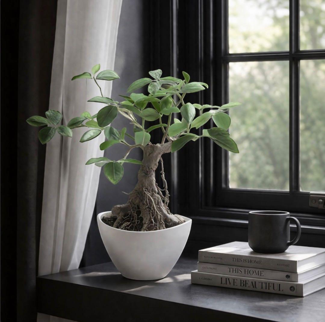 光触媒　人工観葉植物　ウォールグリーン　フェイクグリーン　ガジュマルボウル