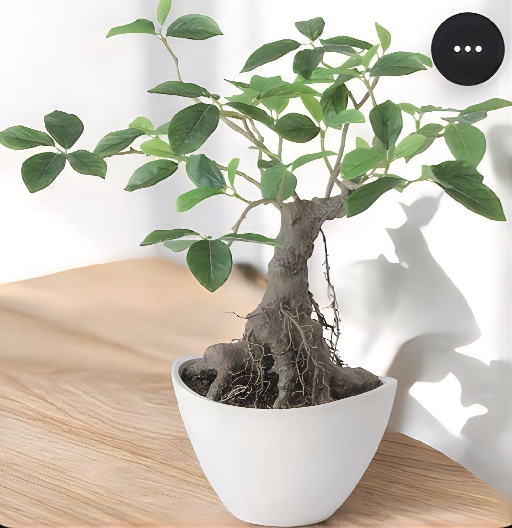 光触媒　人工観葉植物　ウォールグリーン　フェイクグリーン　ガジュマルボウル