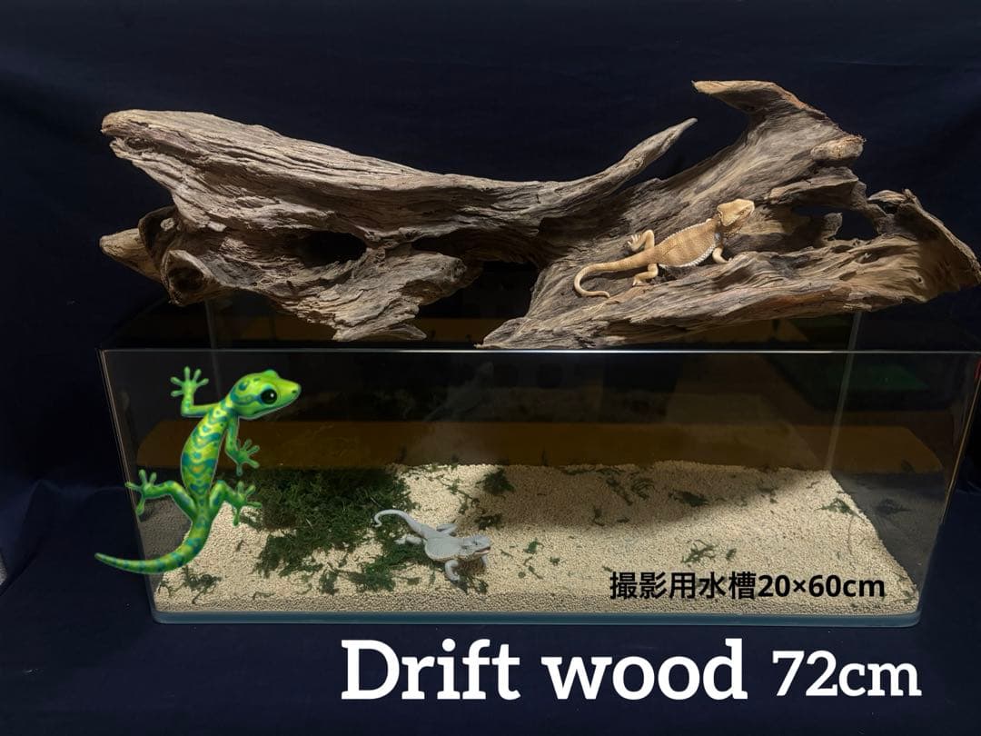 Ｇ88 爬虫類、両生類、シェルター、アクアテラリウム、インテリア、DIY