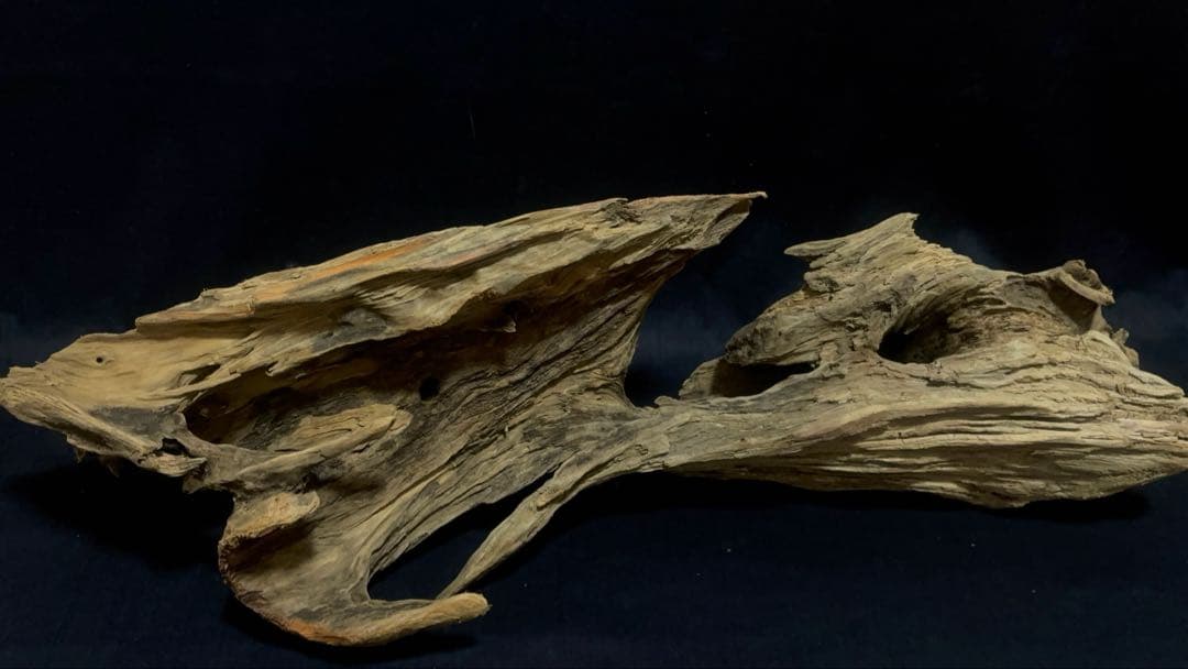 Ｇ88 爬虫類、両生類、シェルター、アクアテラリウム、インテリア、DIY