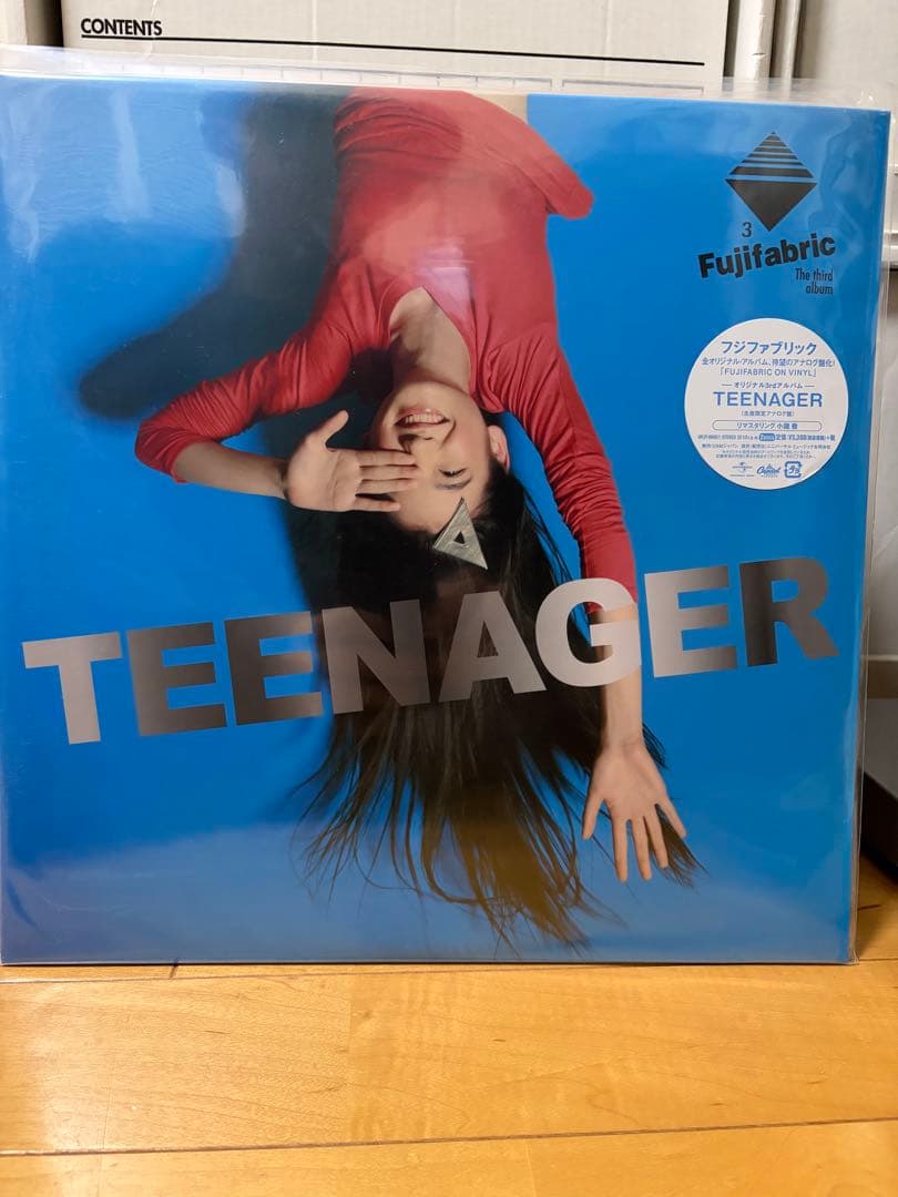 フジファブリック　TEENAGER LP レコード