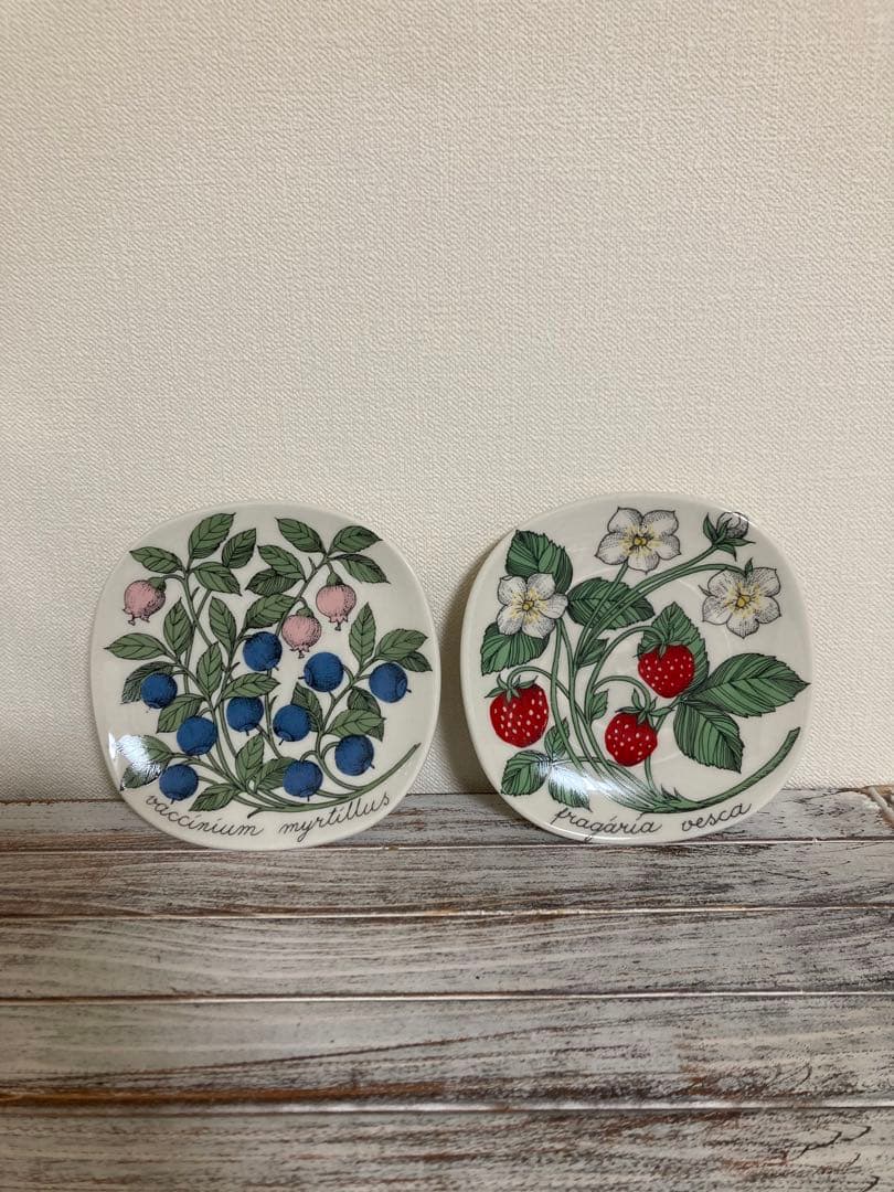 アラビア ボタニカルシリーズ 2枚セット