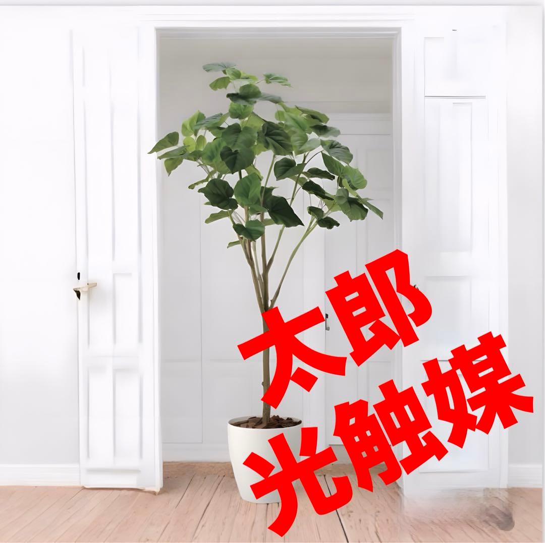 光触媒　人工観葉植物　フェイクグリーン　フィカスウンベラータ1.7m