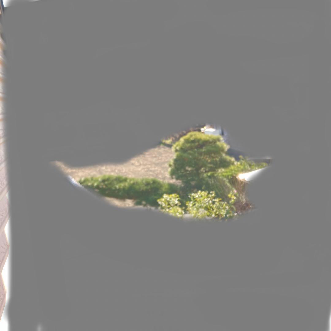 門かぶり　松の木