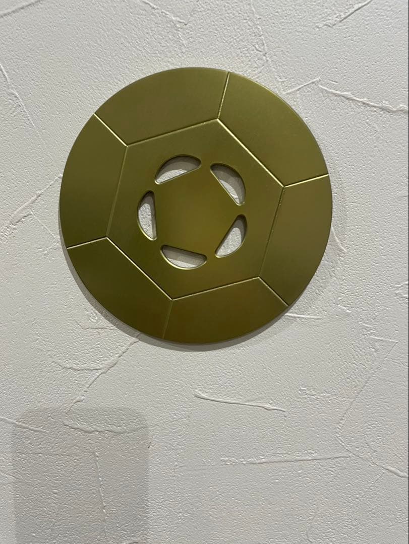 【使用一回のみ】FTW （ビューラプレート）