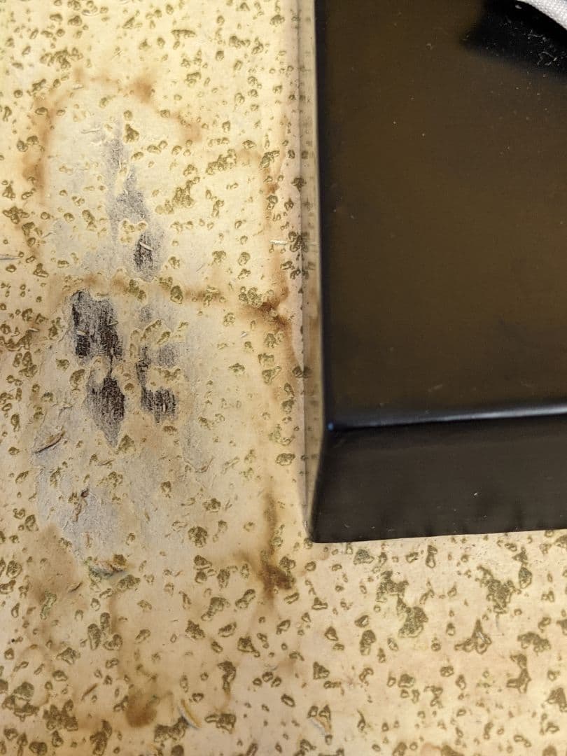 静海波 菩宝作 日本人形