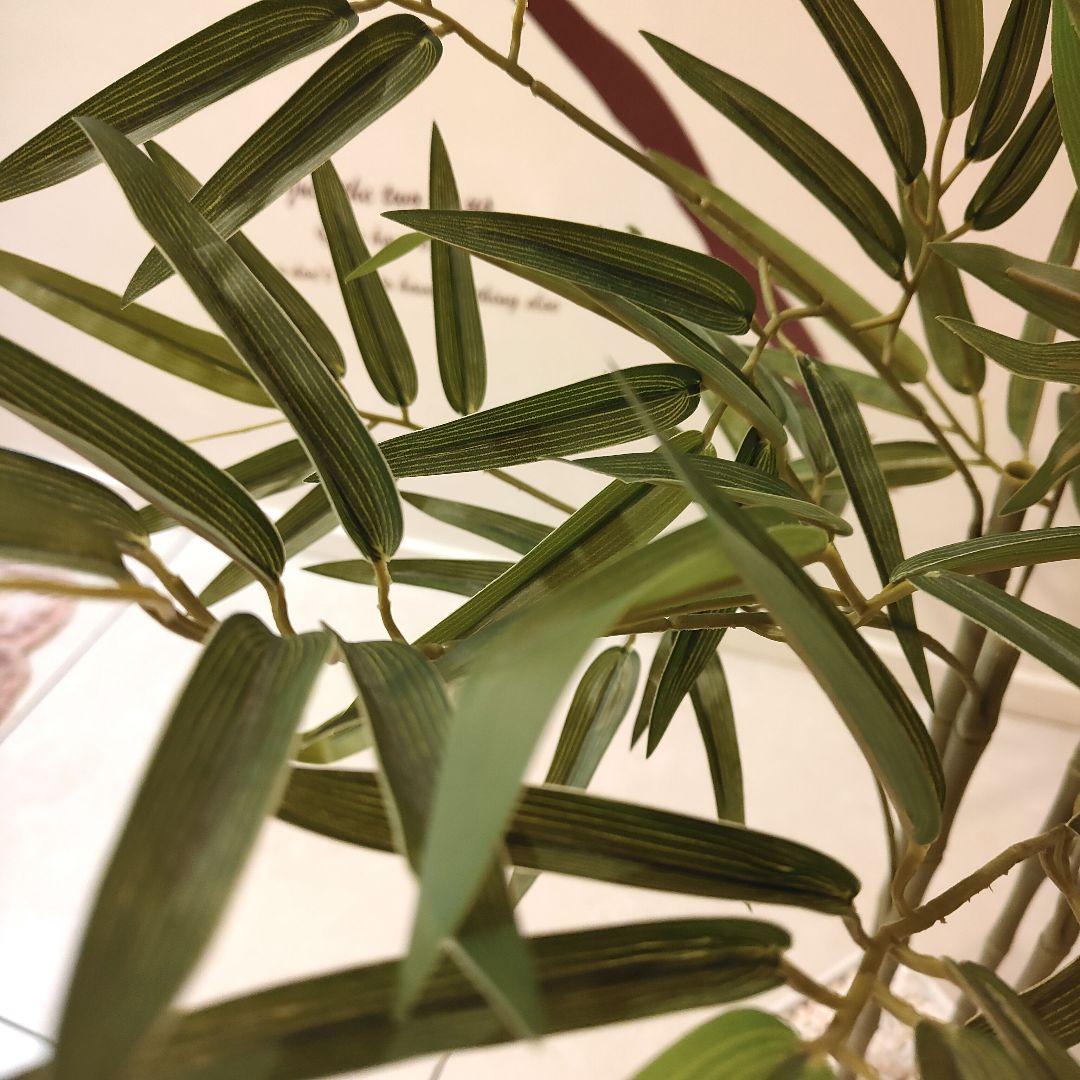 ★美品★人工竹 バンブー 約175cm 白鉢付き 観葉植物