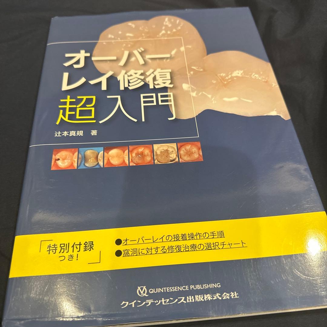 オーバーレイ修復 超入門