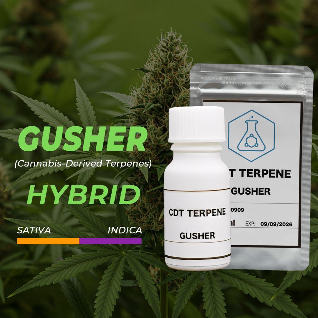 CDT Gusher (カンナビス由来テルペン) 2ml
