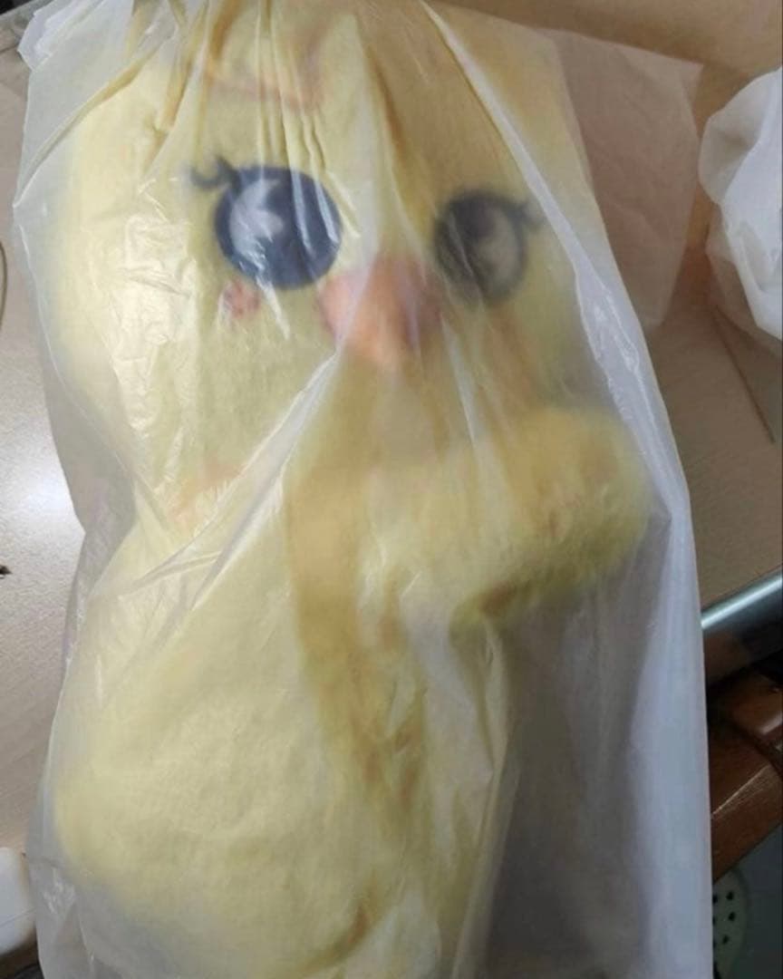 Straykids POPUPcelebrATE SKZOO BAG ポガリ