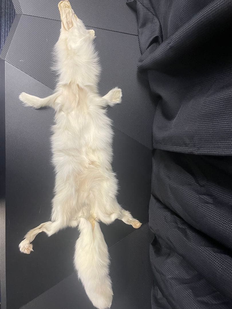 なのちゃん専用　フォックス　狐　原皮