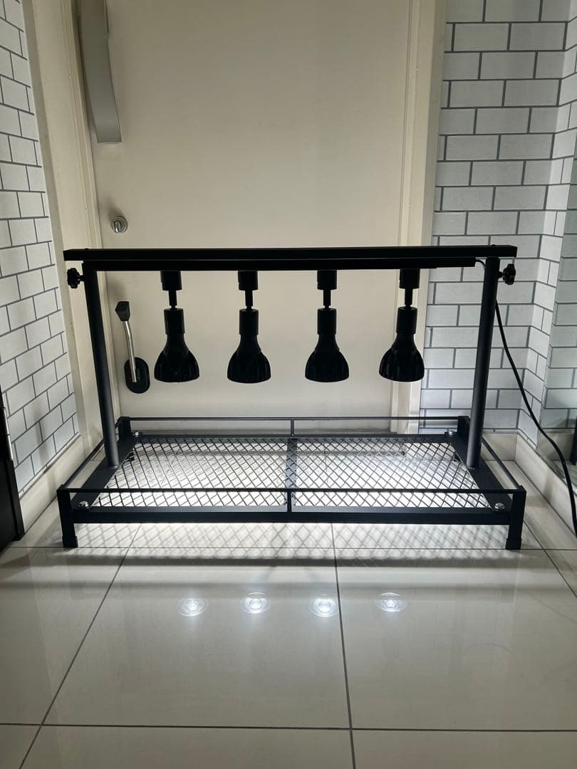 ミニ植物棚　アガベ　シーザー　ハデス　パキプス　塊根　グラキリス　白鯨　塊根植物