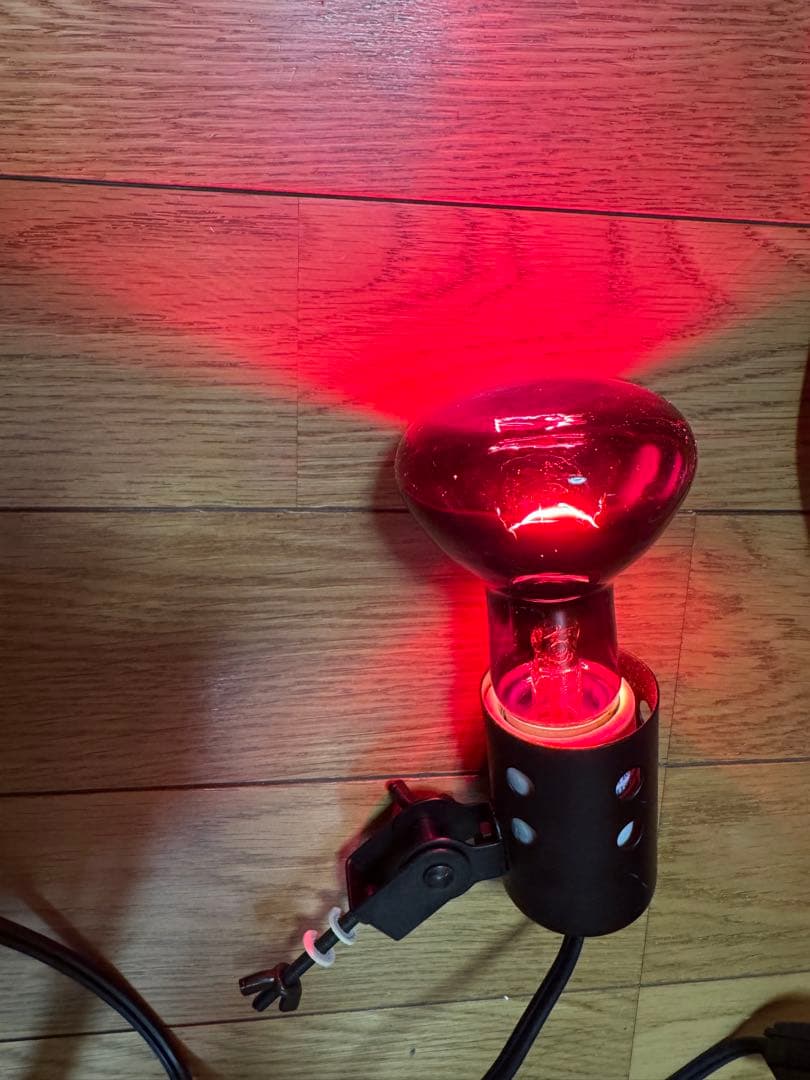 みどり商会 60ケースバイケース