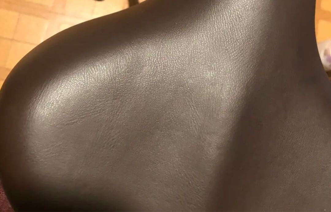 20インチ自転車 ヴィヴァーチェ　アサヒサイクル