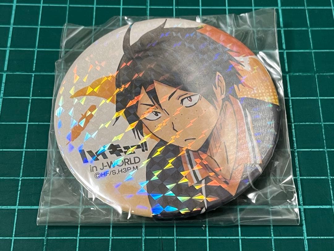 ハイキュー　J-World TOKYO 宮城フェス　ホログラム缶バッジ　山口忠