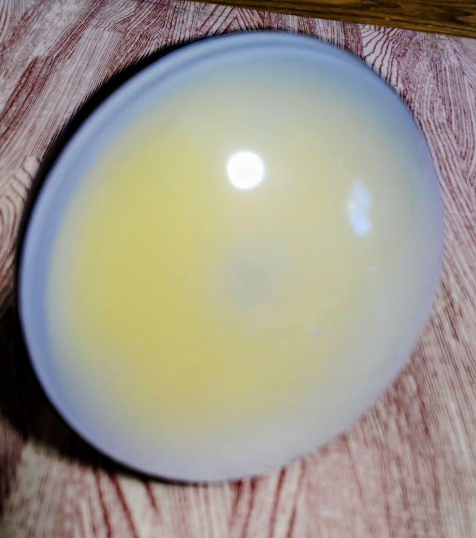 【美品】集魚灯12v LED 防水20w E26 口金 ノイズ対策 直流 24v