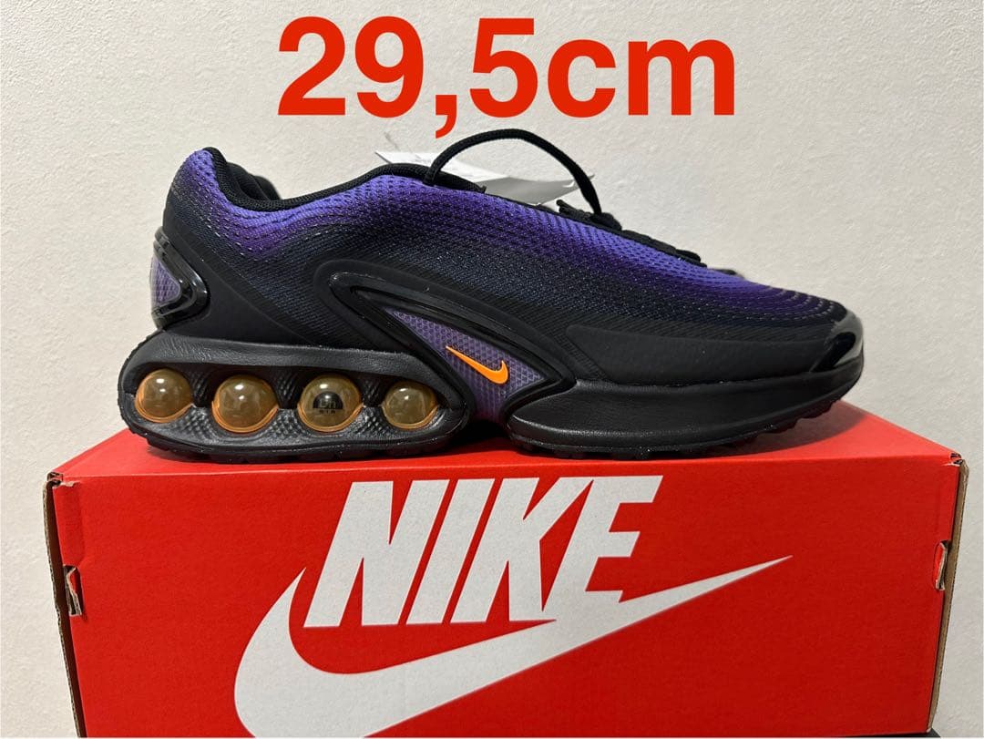 Nike スニーカー 29.5cm ブラック/パープル
